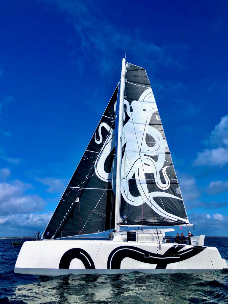 ocr 50 catamaran